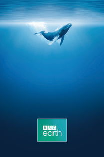 不出门也能环游世界：顶级高清旅游纪录片下载全攻略，收藏属于你的“视觉头等舱”插图1