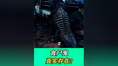 奇人怪事纪录片下载：在合法与惊叹之间，遇见不可思议的世界插图3