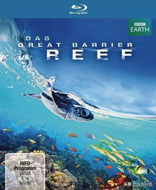 纪录片下载：在家看见世界的捷径插图1