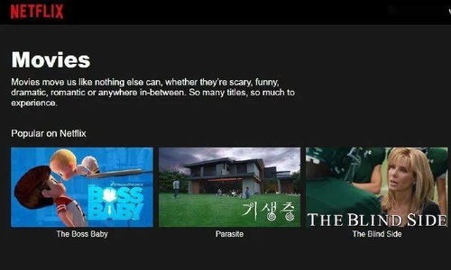 Netflix纪录片下载：随时随地收藏世界真相插图1