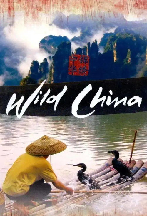 旅游纪录片下载：在家开启一场不出门也能环游世界的影像旅程插图3