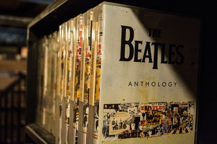 好看的纪录片：一场关于世界与自我的深情呼唤插图3