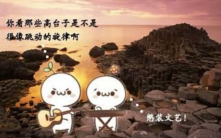 非洲纪录片下载：在家开启一场视听版的大陆探险插图