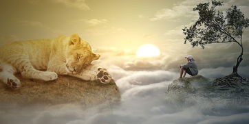 解压纪录片下载：在喧嚣里为自己留一片静谧插图1