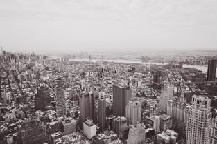 军事纪录片下载：把历史与铁血画面收藏到掌心插图1