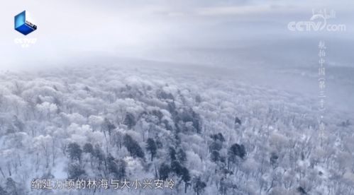 高分纪录片：在光影中遇见真实插图