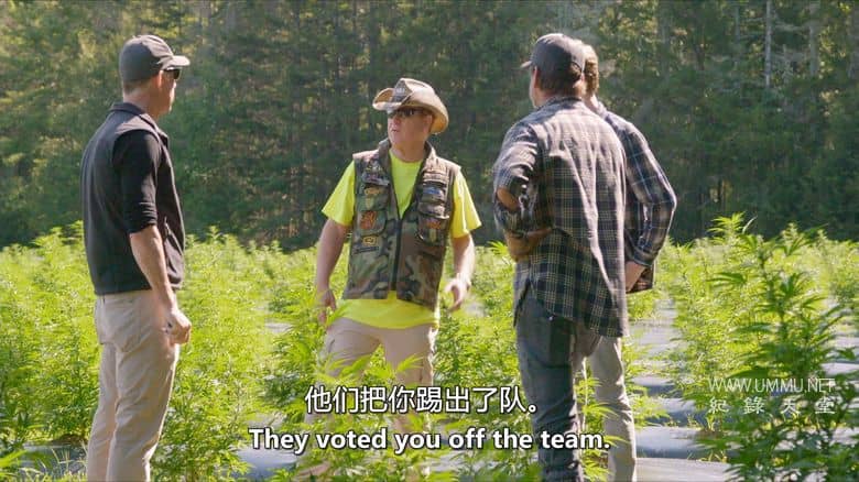 大麻之王 Kings of Kush插图2