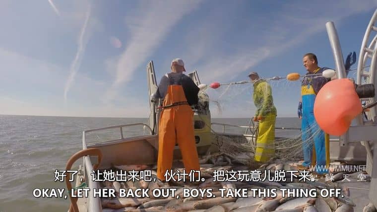 阿拉斯加：海湾捕鱼之战 Alaska: Battle on the Bay插图3