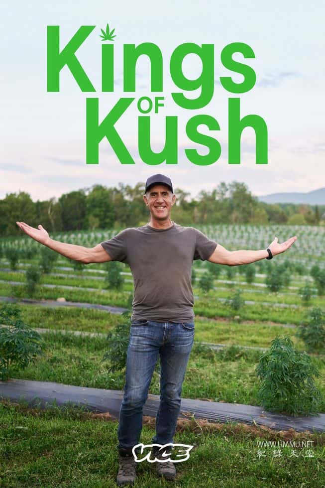 大麻之王 Kings of Kush插图